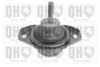 QUINTON HAZELL EM4034 Engine Mounting